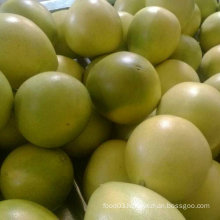 New Crop Fresh Pomelo